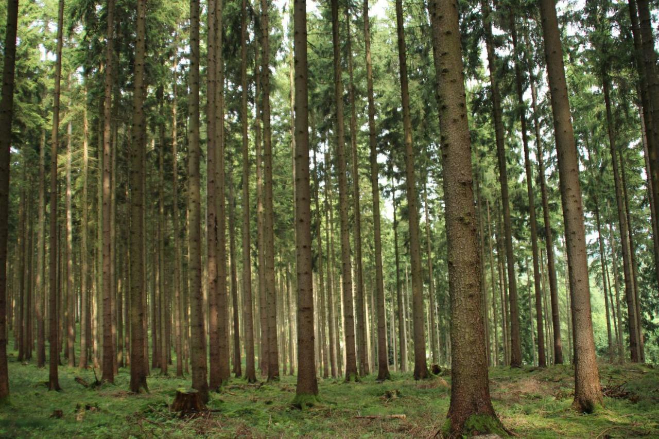 Ferienhaus "Gestiefelter Kater" Am See Im Bergland Кирххайм Экстерьер фото